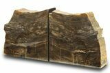 Polished Petrified Wood Bookends - Washington #274865-1